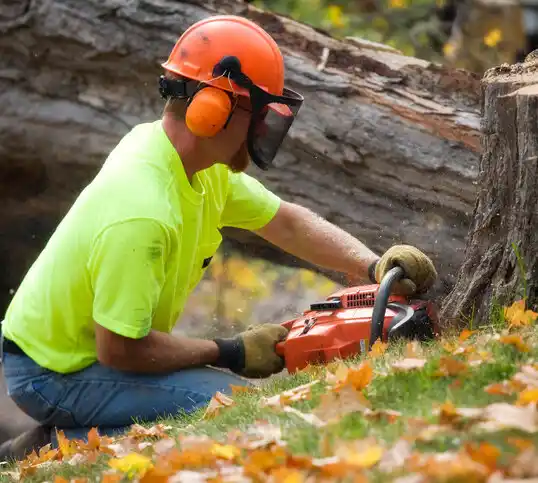 tree services Bettsville